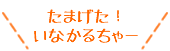 たまげたいなかるちゃー