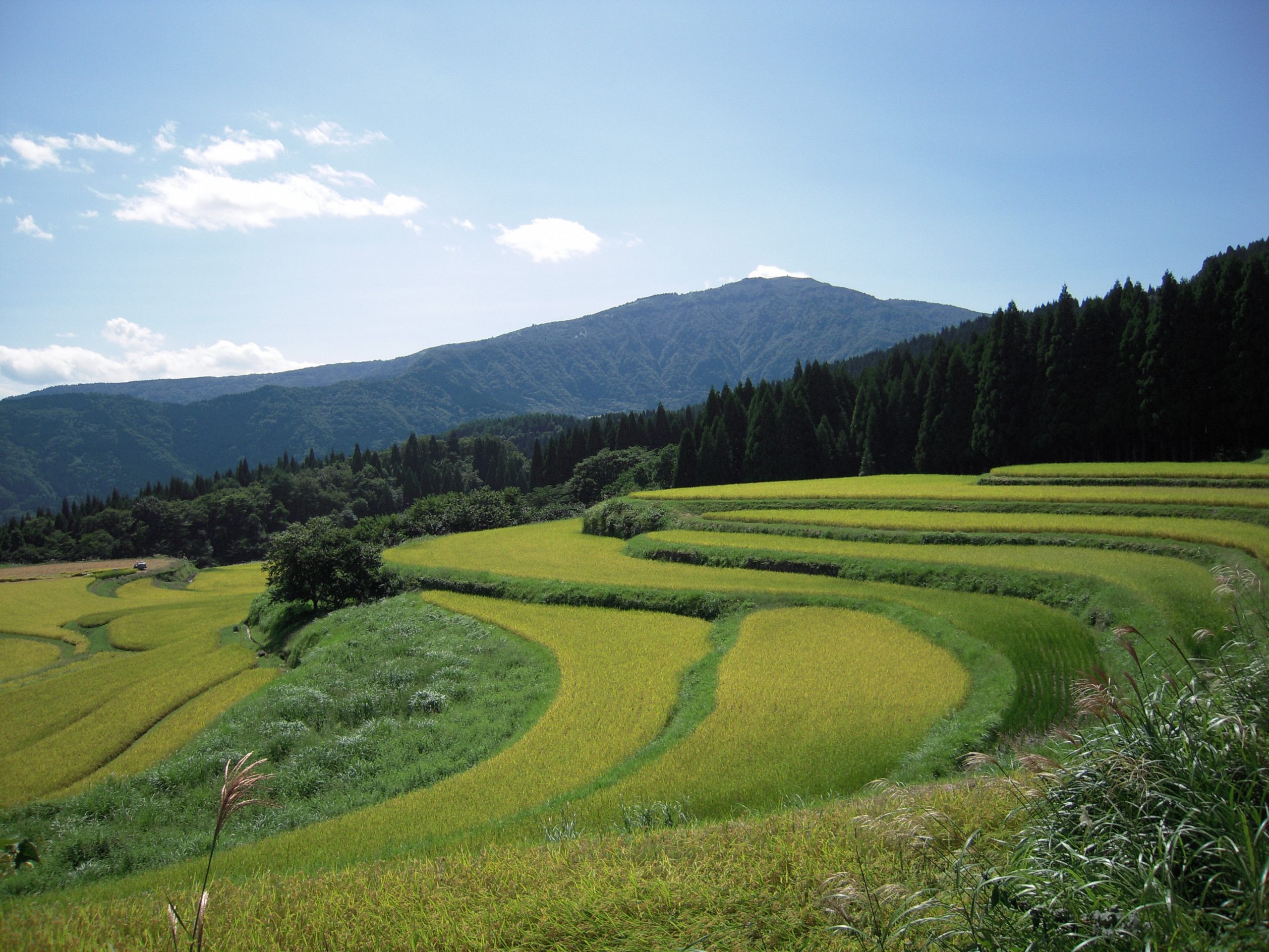 兵庫県養父市地域おこし協力隊募集！！